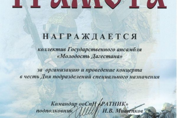 Концерт для отряда специального назначения