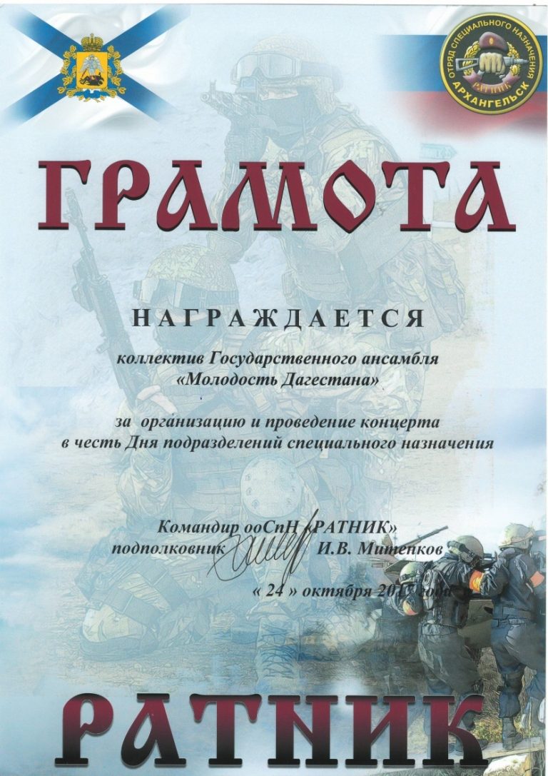 Концерт для отряда специального назначения